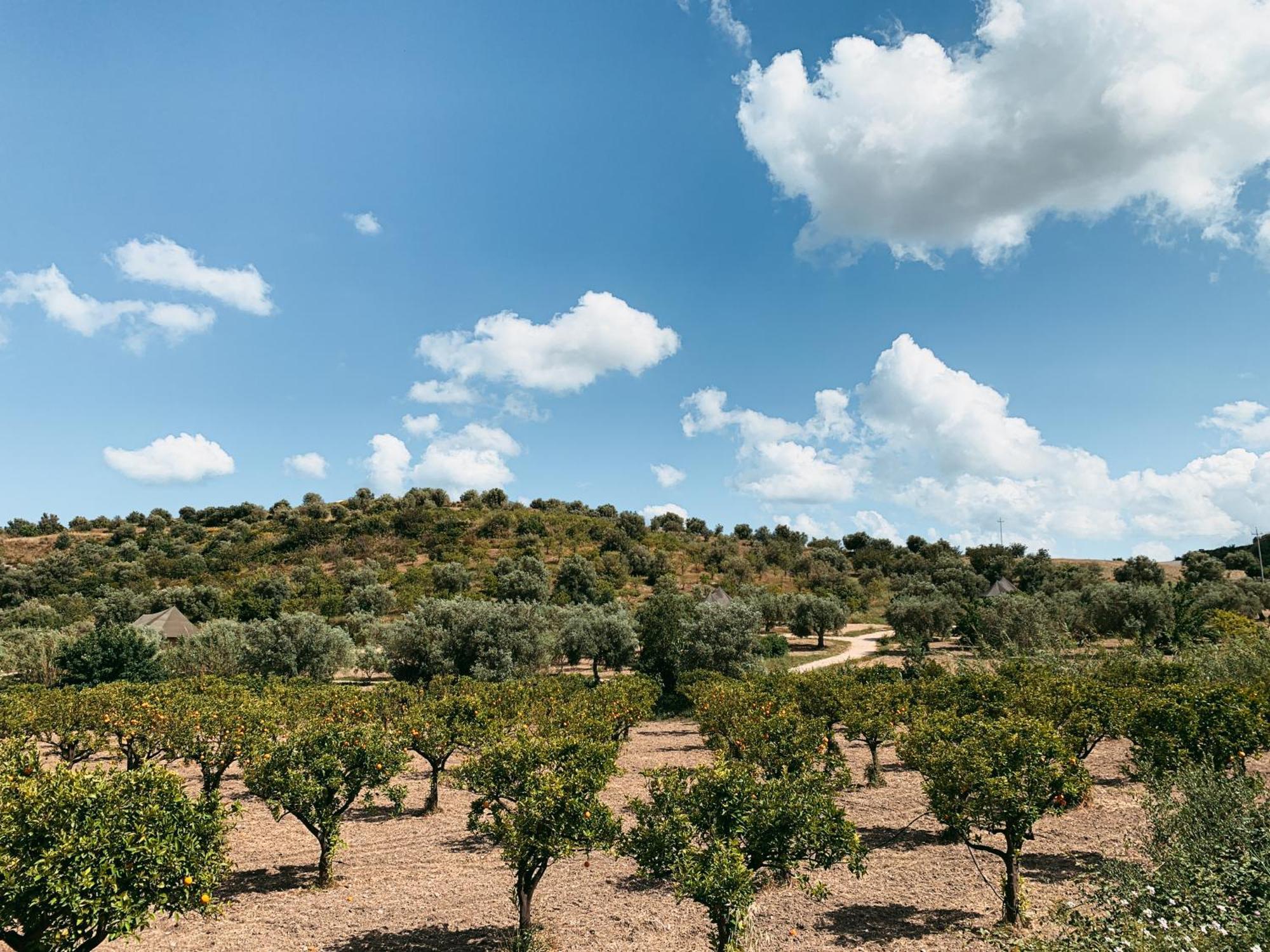 Iuta Farm Villa Noto Dış mekan fotoğraf