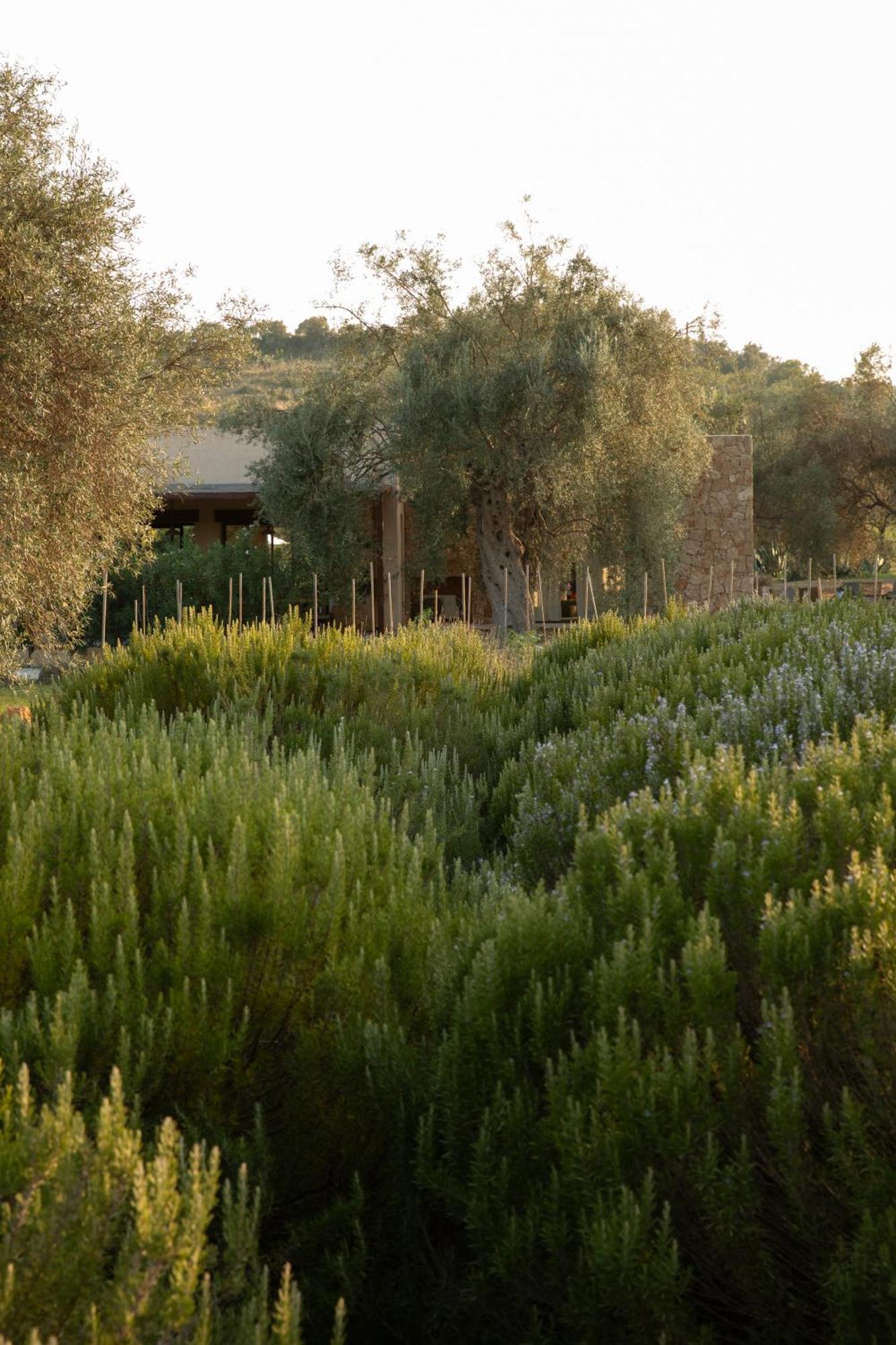 Iuta Farm Villa Noto Dış mekan fotoğraf